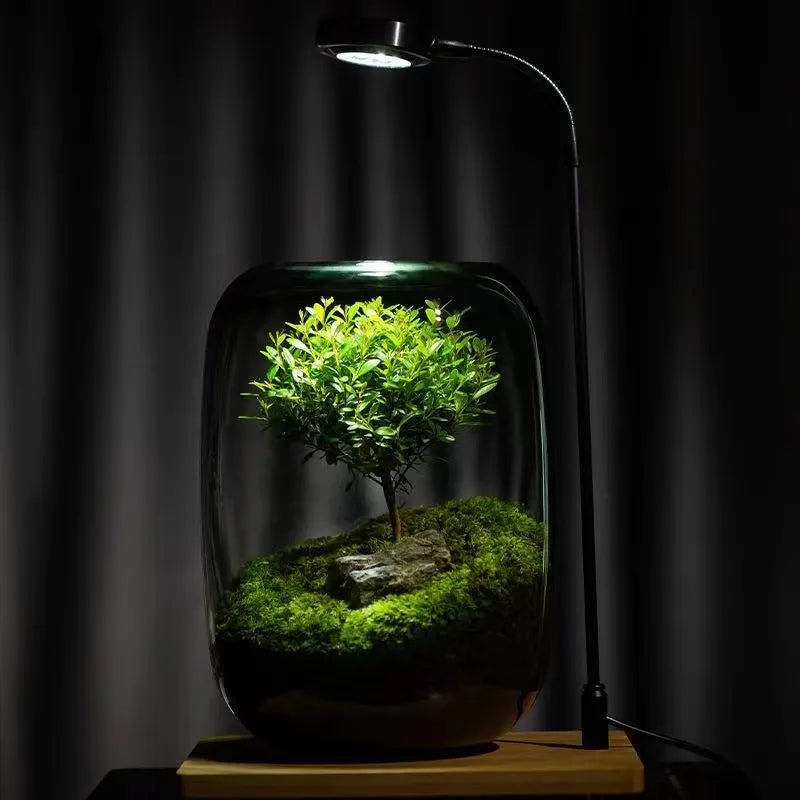 LushVista - Moss Landscape Display