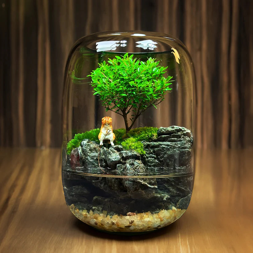 LushVista - Moss Landscape Display