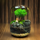 LushVista - Moss Landscape Display