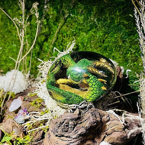 BlazeBorn - Lava Dragon Egg