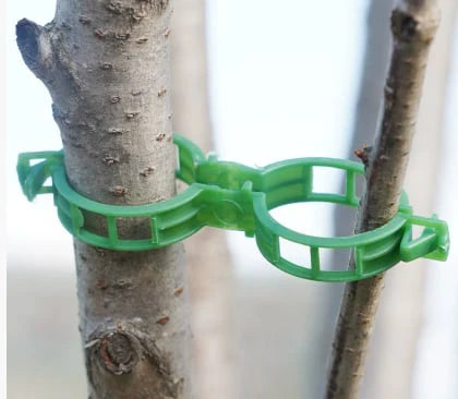 StemHold – Reusable Clips for Upright Plants