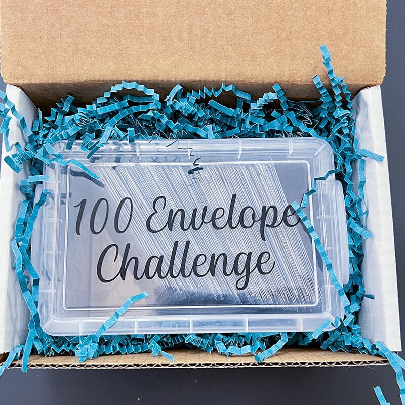 MoneyMaze - 100 Envelope Savings Challenge