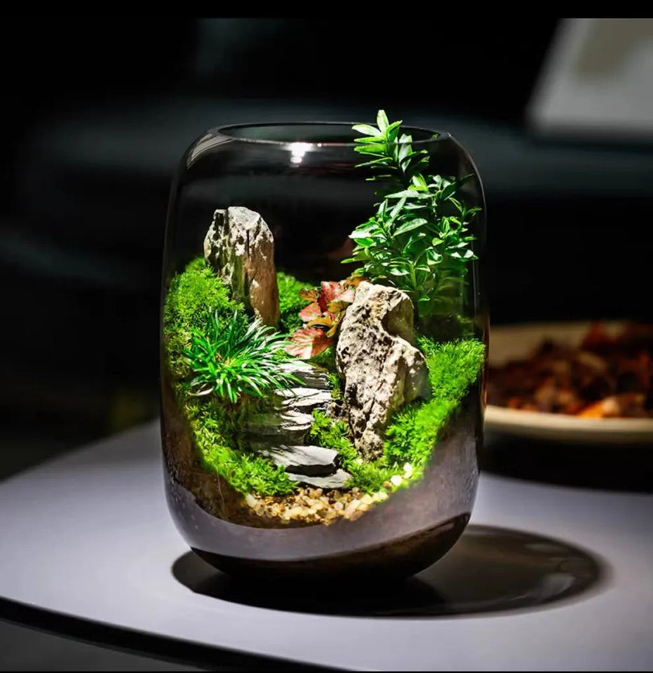 LushVista - Moss Landscape Display