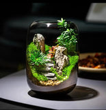 LushVista - Moss Landscape Display