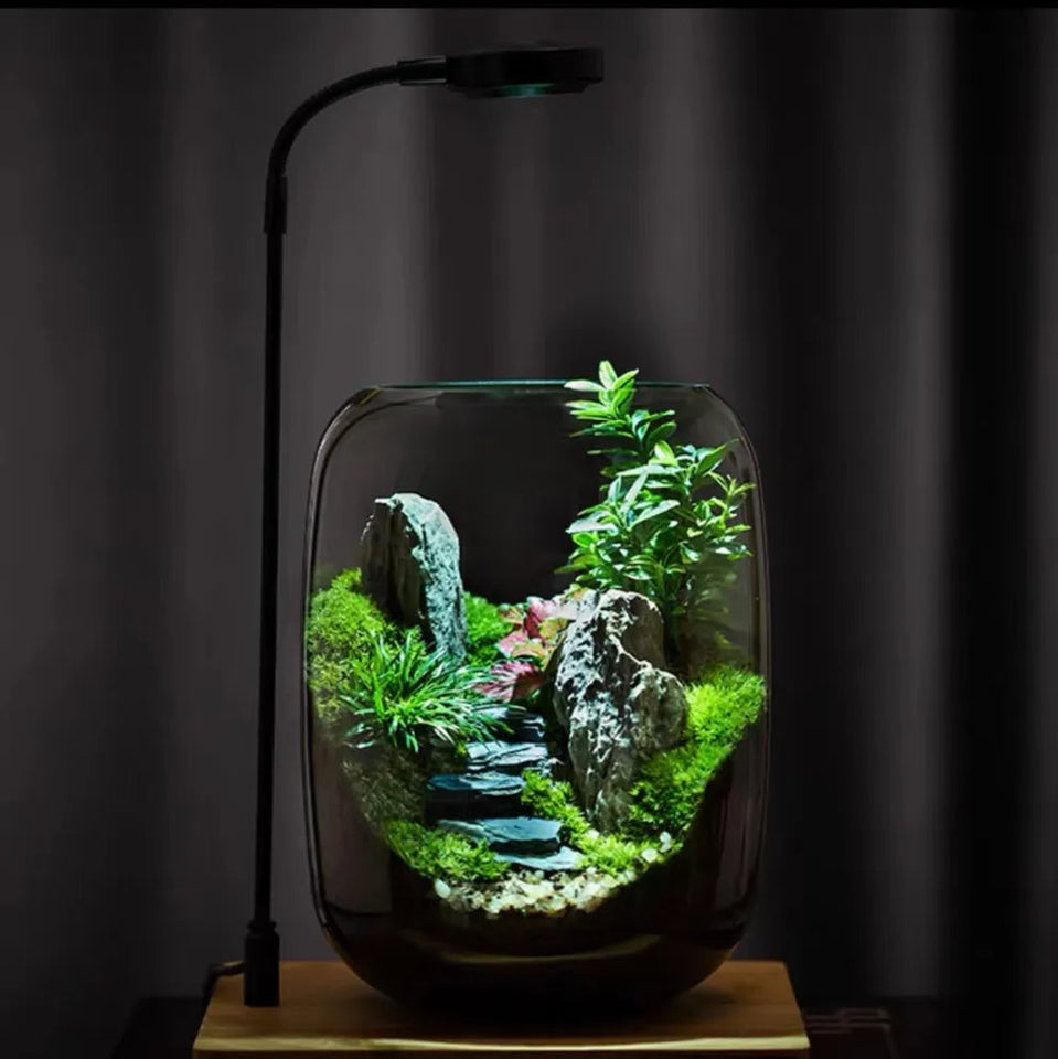 LushVista - Moss Landscape Display