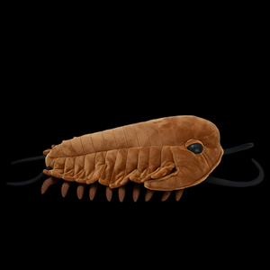 ArthroCuddle – Trilobite Soft Plush
