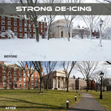 FrostGuardian™ Solar-Powered De-Icing Light marnetic