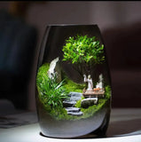 LushVista - Moss Landscape Display