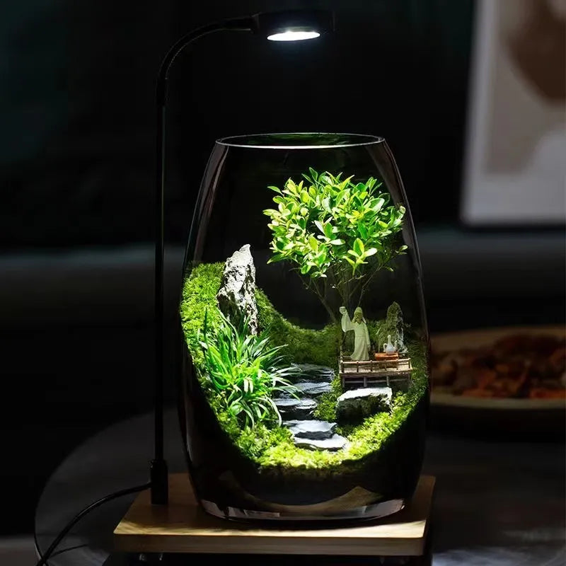 LushVista - Moss Landscape Display