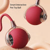 PetPlay - Smart Interactive Pet Toy Ball