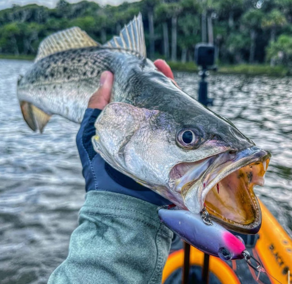 WaveLock – Durable Topwater Speed Clips