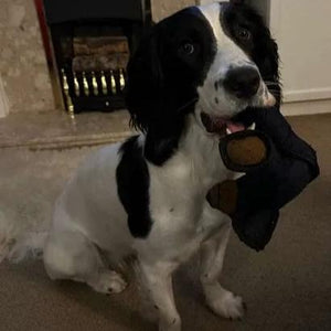 BearTough - Durable Chew Toy