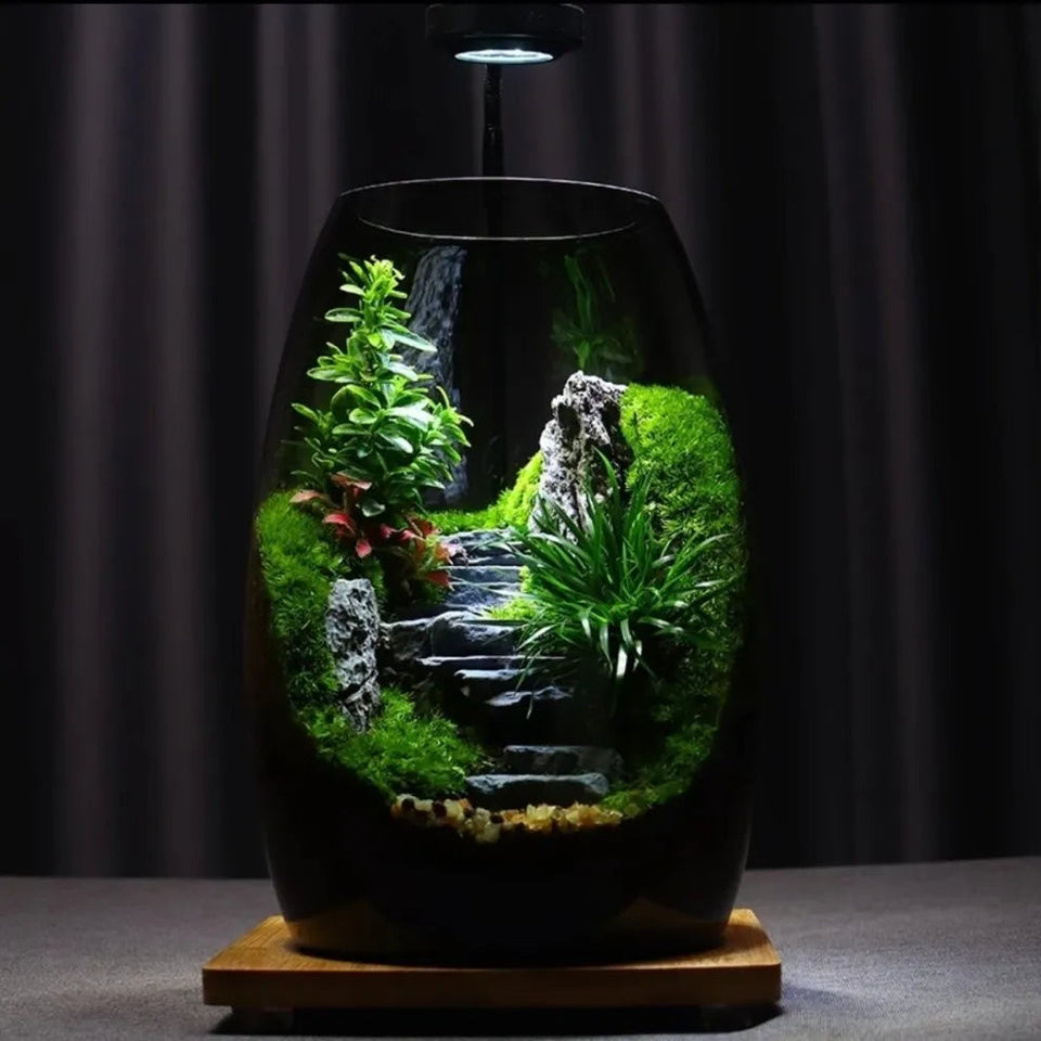 LushVista - Moss Landscape Display