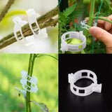 Plant Support Clips marnetic