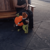 Deadly Doll Pet Costume marnetic