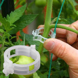 StemHold – Reusable Clips for Upright Plants