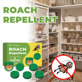 InsectoStop – Fast Acting Roach Control