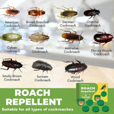 InsectoStop – Fast Acting Roach Control