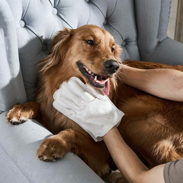 FurFresh – Odor Removing Pet Grooming Gloves