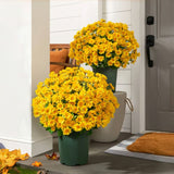 RadiantFlora – Weather Resistant Garden Mums
