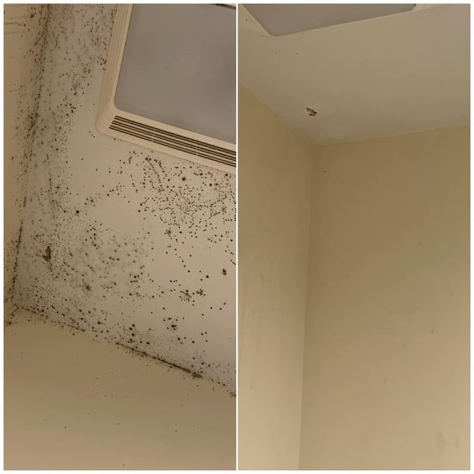 MoldAway – Powerful Mildew Cleaning Foam