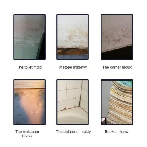 MoldAway – Powerful Mildew Cleaning Foam