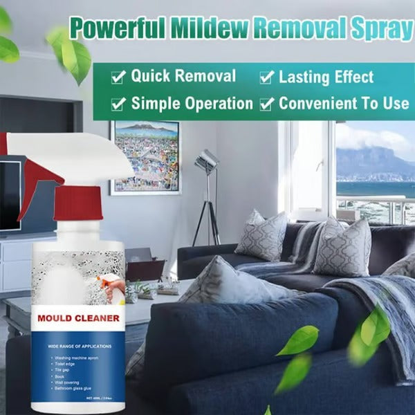 MoldAway – Powerful Mildew Cleaning Foam
