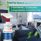 MoldAway – Powerful Mildew Cleaning Foam