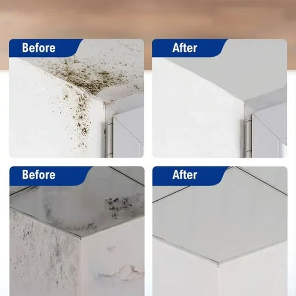MoldAway – Powerful Mildew Cleaning Foam