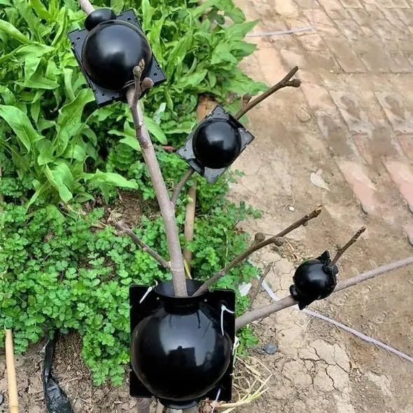 RootBox™ - Plant Root Growing Box pelvet