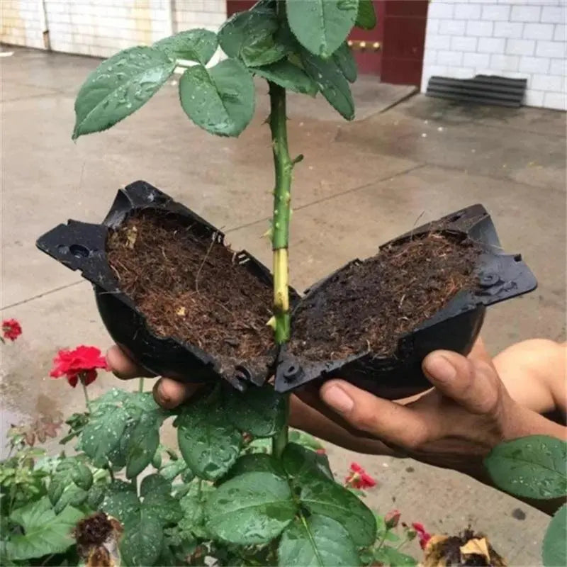 RootBox™ - Plant Root Growing Box pelvet