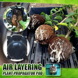 RootBox™ - Plant Root Growing Box pelvet