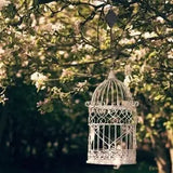 Plant Pulley Set For Garden Baskets Pots, Birds Feeder marnetic