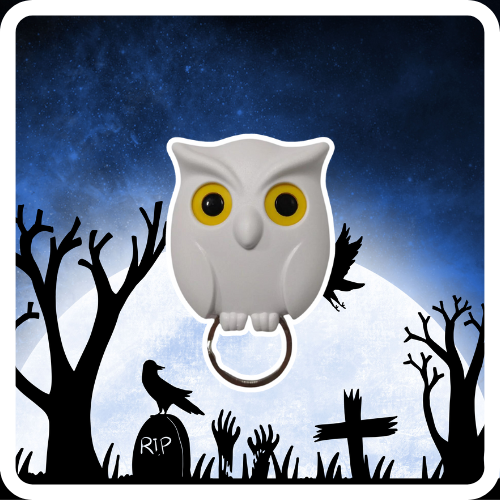 HootNest | The Spooky Owl Key Holder