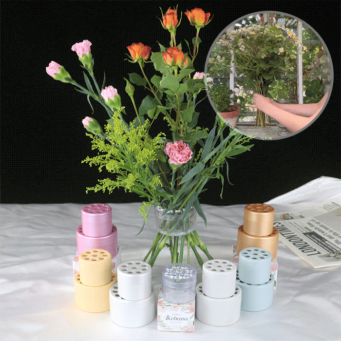 PetalSwirl – Elegant Ikebana Stem Holder