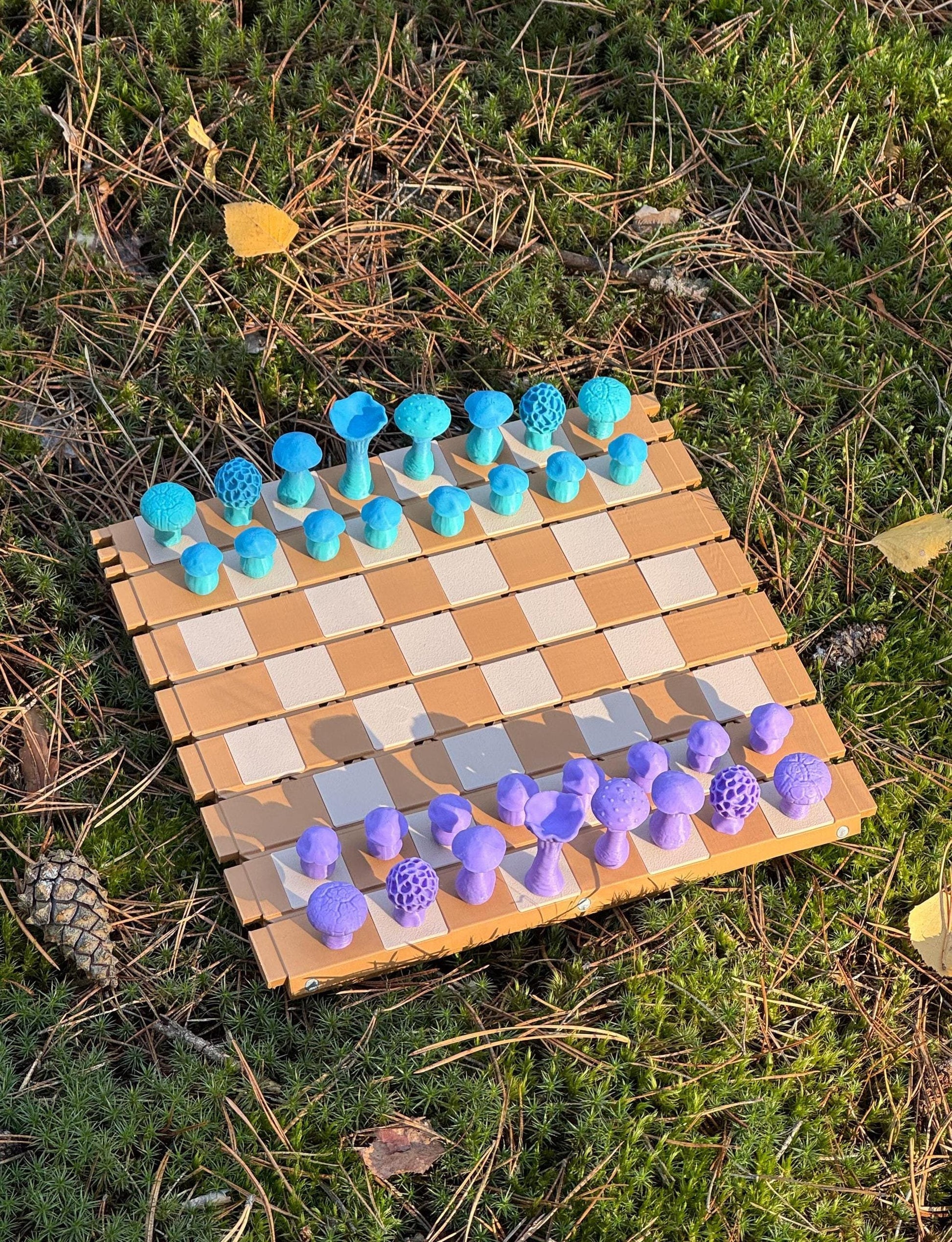 ShroomBattle - Magnetic Mushroom Chess