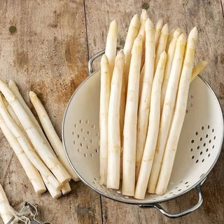 GardenPro – Perennial Tender Asparagus Seeds