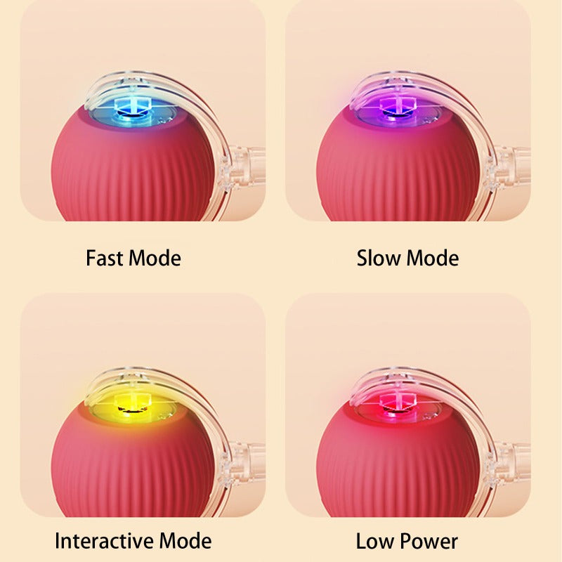PetPlay - Smart Interactive Pet Toy Ball