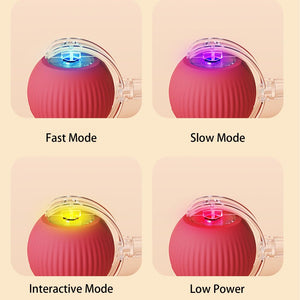 PetPlay - Smart Interactive Pet Toy Ball