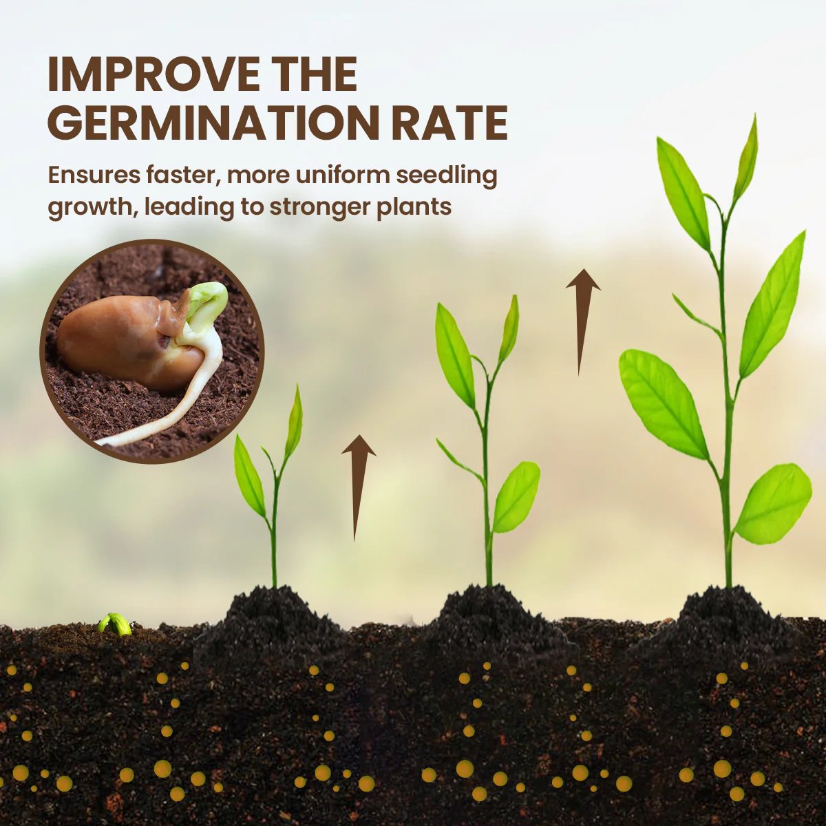 Yegbong - Soil Revive & Growth Activator