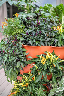 GrowSpin – Rotatable Garden Tower for Vertical Planting
