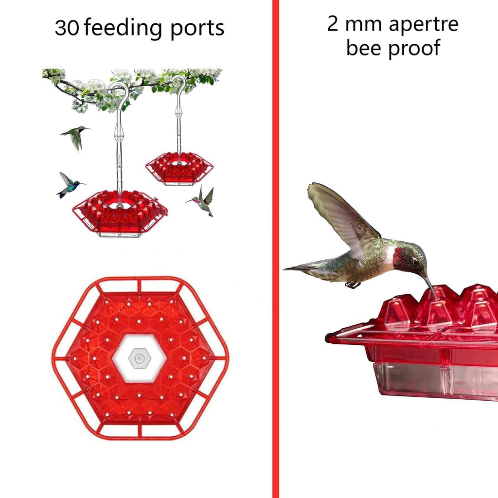 SkySip | Charming Outdoor Hanging Hummingbird Feeder