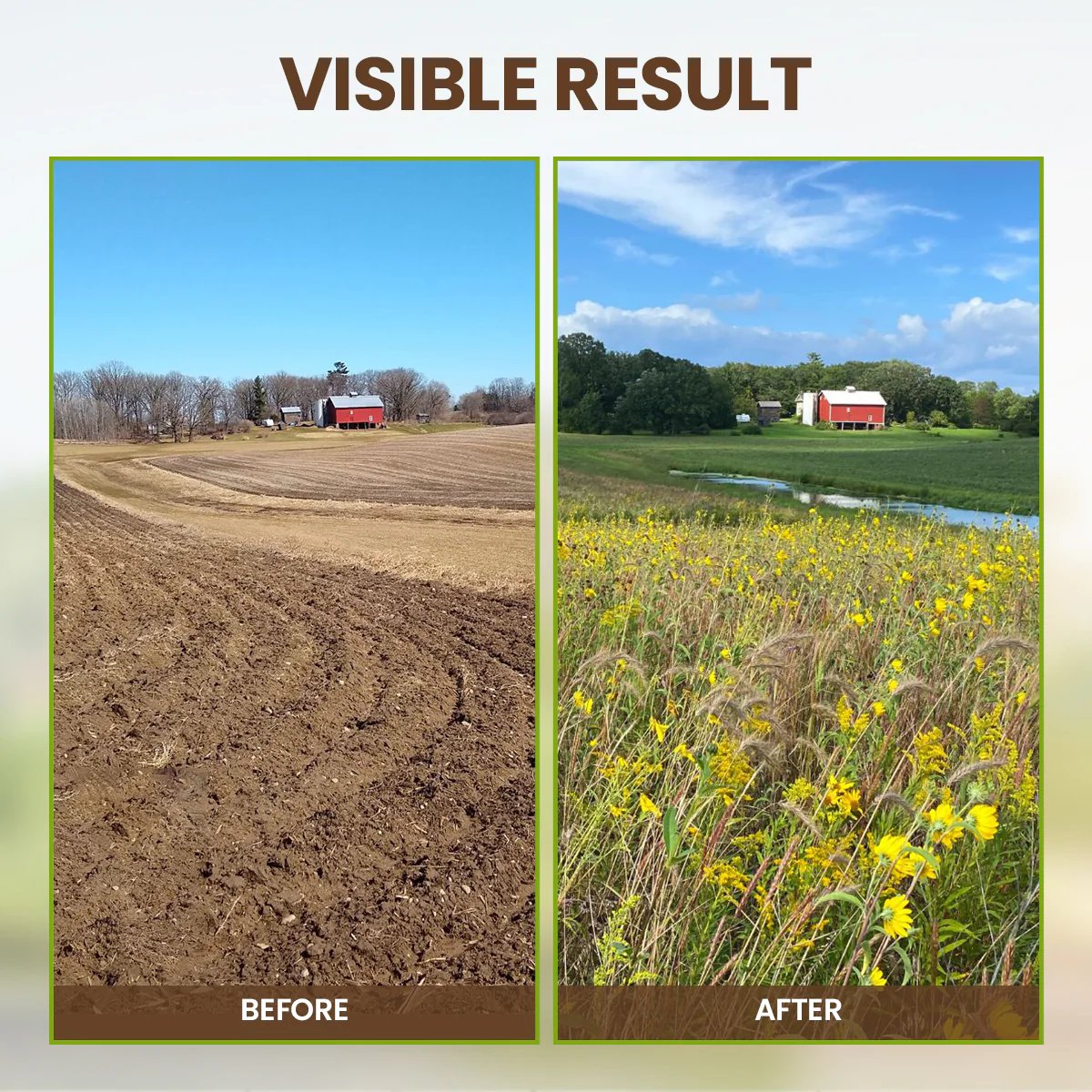 Yegbong - Soil Revive & Growth Activator