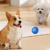 BarkBounce - Interactive Dog Teasing Ball