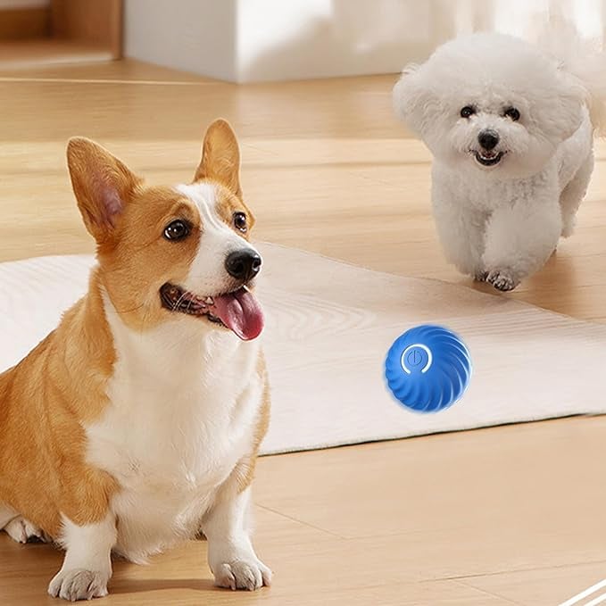 BarkBounce - Interactive Dog Teasing Ball