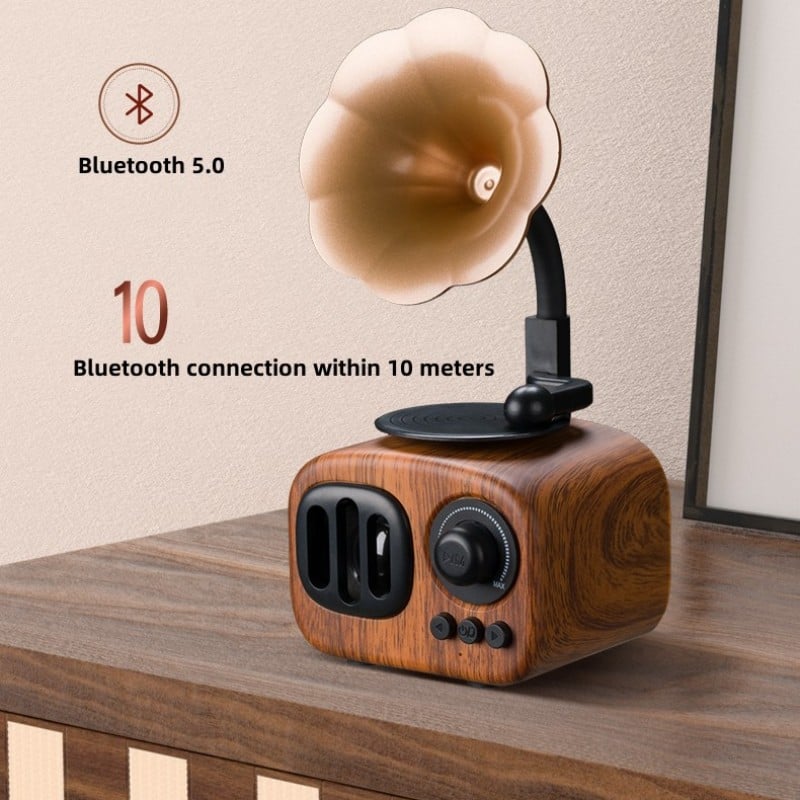 EchoGram - Vintage Wooden Bluetooth Speaker