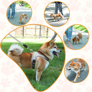 PawEase – Breathable Dog Harness Set