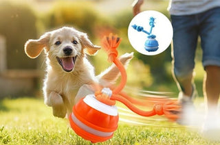 BallBot – Smart Interactive Toy