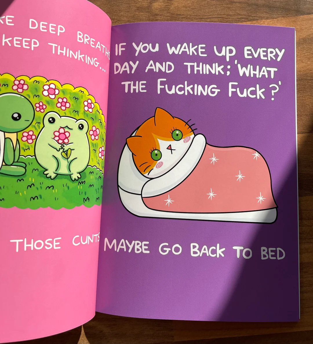 MindArmor – How To Survive The Bullshit Hardcover Book
