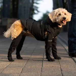 Doggie Strap Paw Protectors marnetic